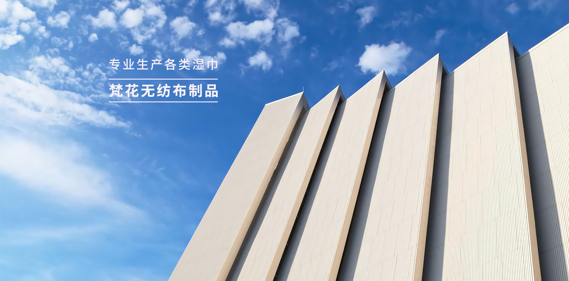 慈溪梵花无纺布制品有限公司